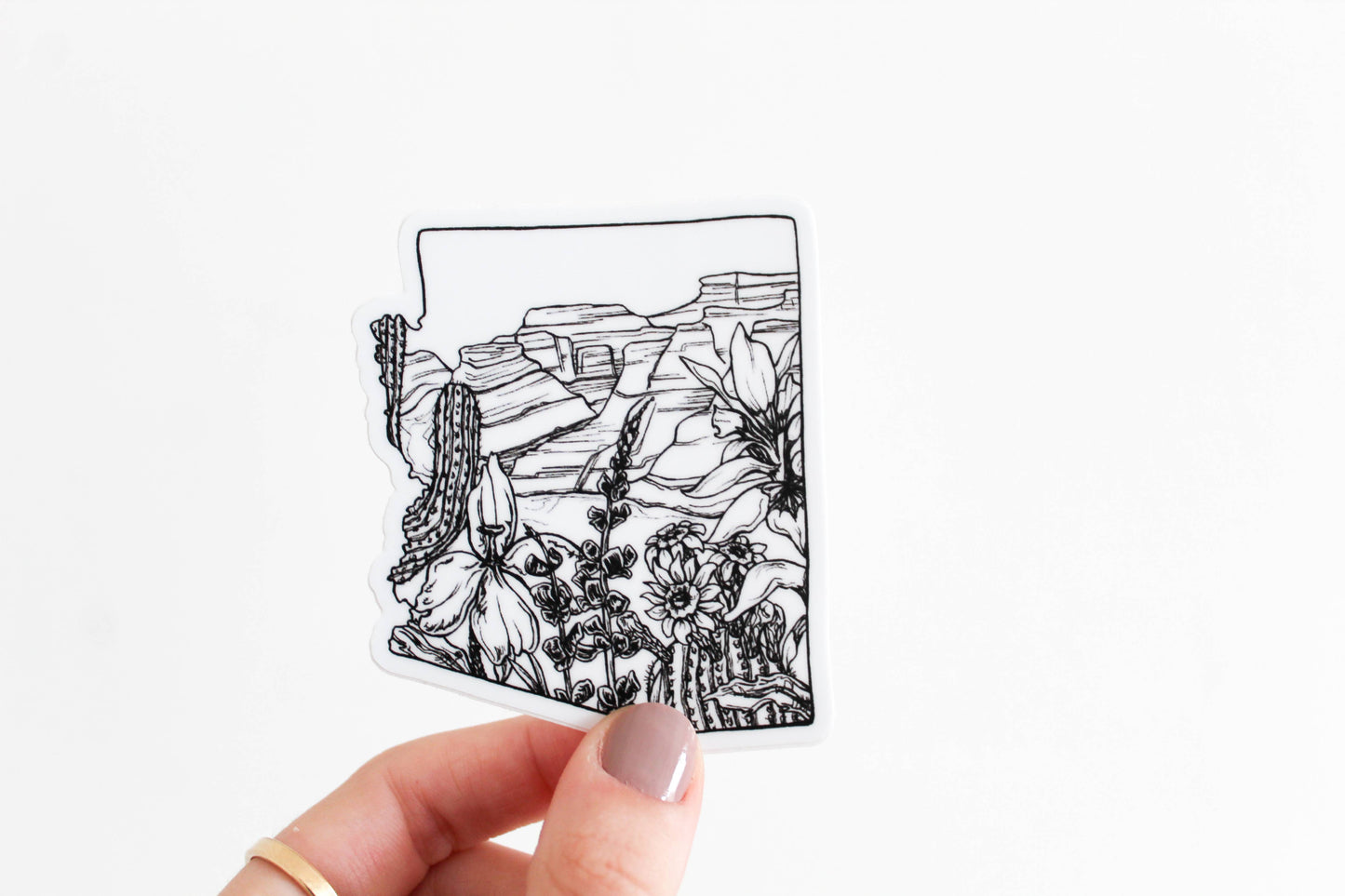 Arizona Wildflower Sticker