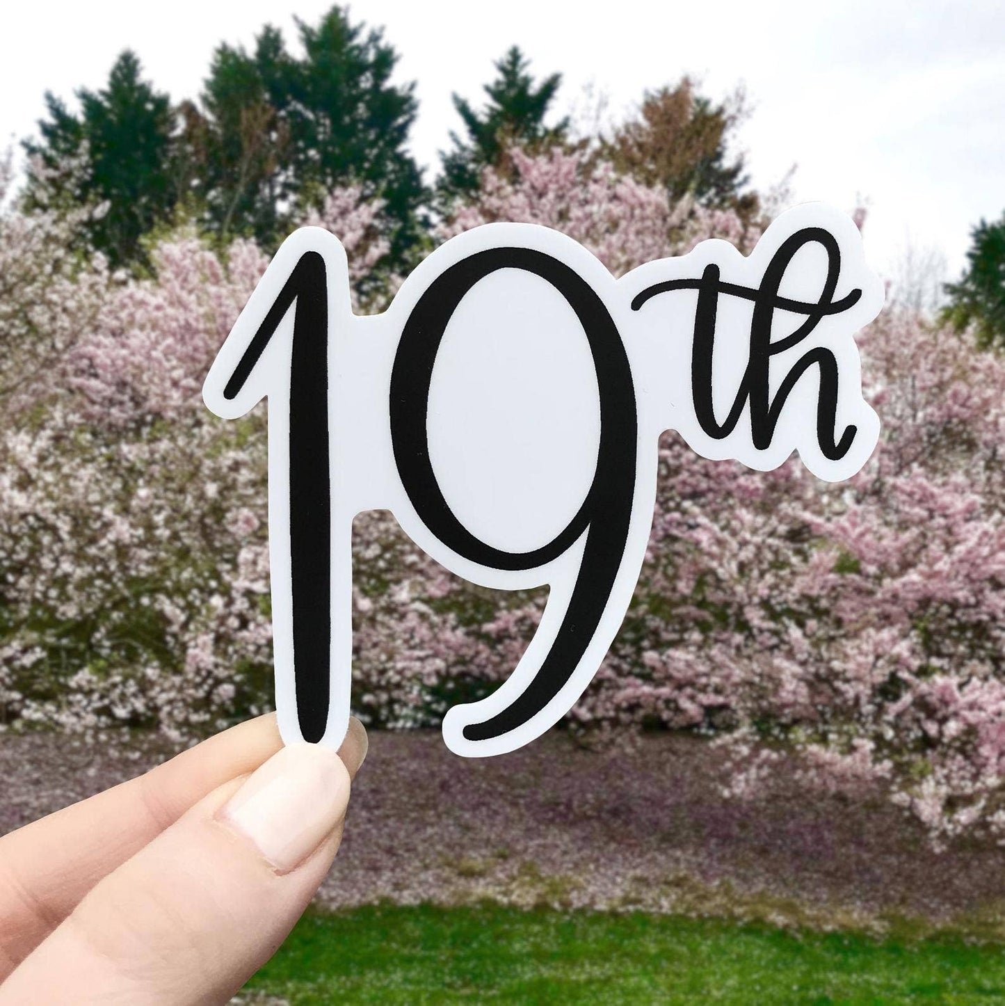 Nineteenth Amendment Sticker, 3x2.25in