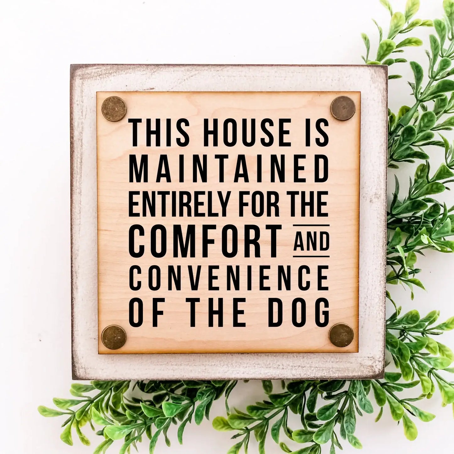 Funny Pet Sign Mini Block: "Of the Dogs"
