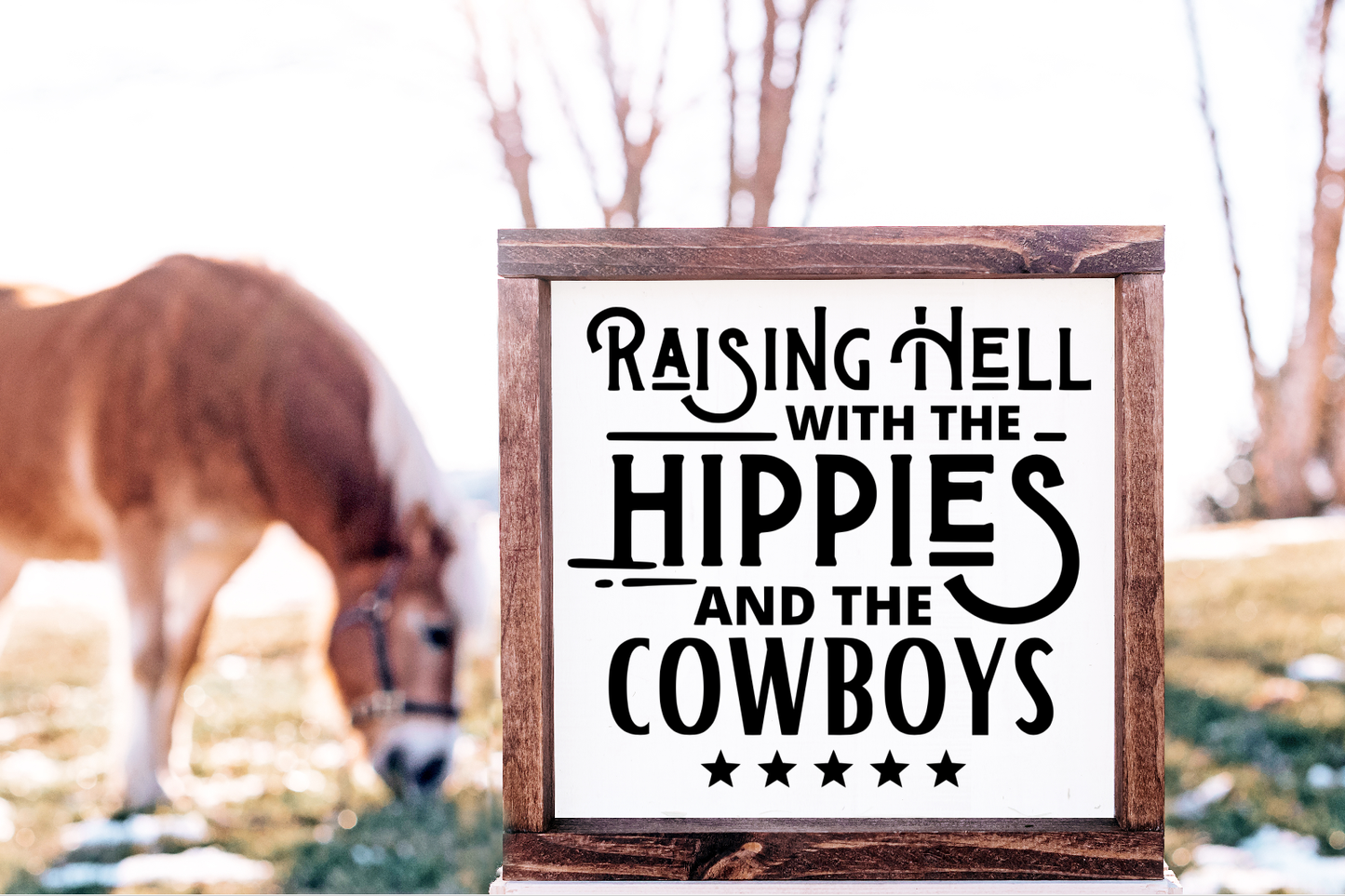Raising Hell With The Hippies and the Cowboys